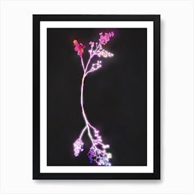 Florescence Fuschia Art Print