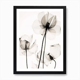 Black And White Flower Silhouette 6 Art Print