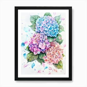 Hydrangeas Art Print