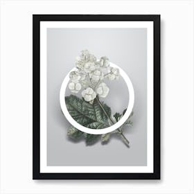 Vintage Oakleaf Hydrangea Minimalist Flower Geometric Circle on Soft Gray Art Print
