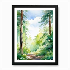 Watercolor Of A Forest Path Art Print