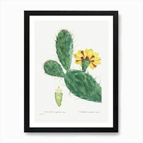 Cactus Opuntia Tuna, Pierre Joseph Redoute Art Print