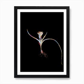 Stained Glass Ixia Recurva Mosaic Botanical Illustration on Black n.0235 Art Print