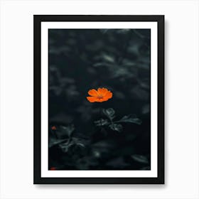 Single Orange Flower 17 Art Print