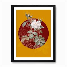 Vintage Botanical Autumn Damask Rose on Circle Red on Yellow n.0302 Art Print