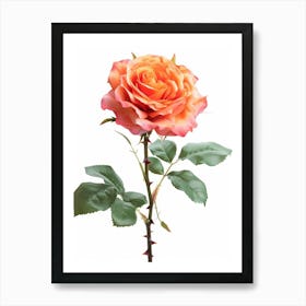 English Roses Thorns Painting 3 Art Print