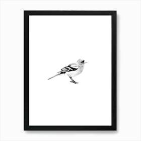 Bird Black And White Art Print Art Print