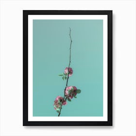 Pink Roses Blossom On A Branch In The Clear Sky. Minimalism Art Print