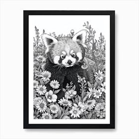 Red Panda Cub In A Field Of Flowers Ink Illustration 4 Art Print