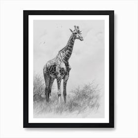 Giraffe In The Grass Pencil Drawing 1 Art Print