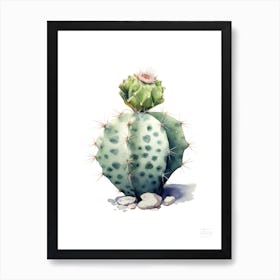 Lophophora Williamsii Cactus Watercolour Drawing 4 Art Print