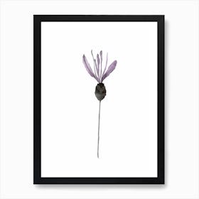 Lavender 1 Art Print