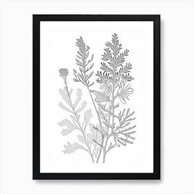 Astragalus Herb William Morris Inspired Line Drawing 2 Art Print