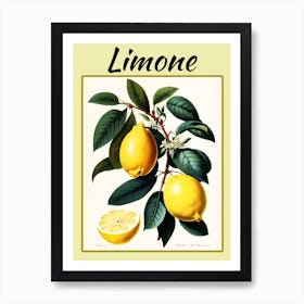 Lemon Art Print