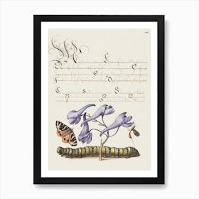 Scarlet Tiger Moth, Larkspur, Insect, And Caterpillar From Mira Calligraphiae Monumenta, Joris Hoefnagel Art Print