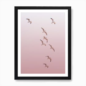 Flock Of Seagulls In Flight at Sunset Art Print