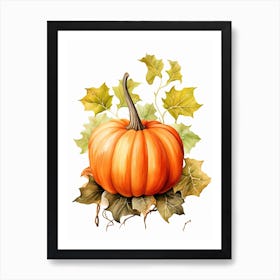 Musque De Provence Pumpkin Watercolour Illustration 4 Art Print