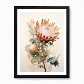 Pressed Flower Botanical Art Protea 1 Art Print