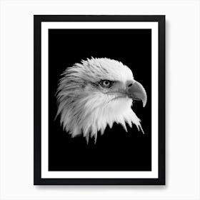 BW Bald Eagle in my Line Illustration Art Print