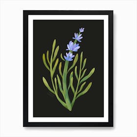 Lavender Art Print