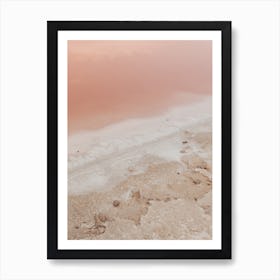 Pink Beach Of Las Coloradas On Yucatán In Mexico Art Print