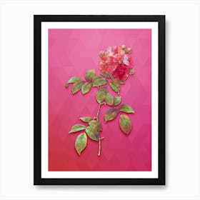 Vintage Seven Sisters Roses Botanical Art on Beetroot Purple n.0348 Art Print