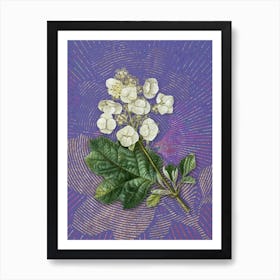 Vintage Oakleaf Hydrangea Botanical Illustration on Veri Peri n.0794 Art Print