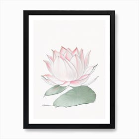 Lotus Flower Pattern Pencil Illustration 7 Art Print