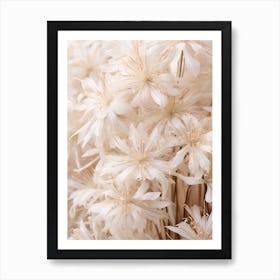 Boho Dried Flowers Agapanthus 1 Art Print