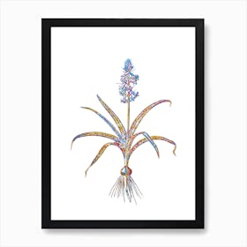 Stained Glass Scilla Patula Mosaic Botanical Illustration on White n.0193 Art Print