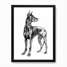 German Pinscher Dog Line Art 2 Poster