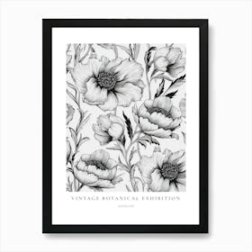 Anemone B&W Vintage Botanical Poster Art Print