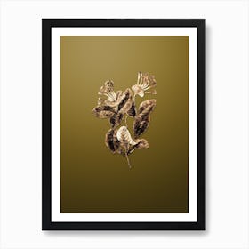 Gold Botanical North West Honeysuckle Flower on Dune Yellow n.1521 Art Print