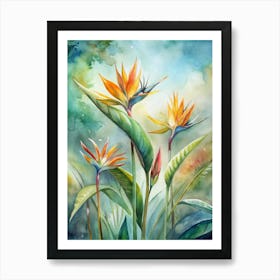 4 Birds Of Paradise Flowers Standing Tall Art Print