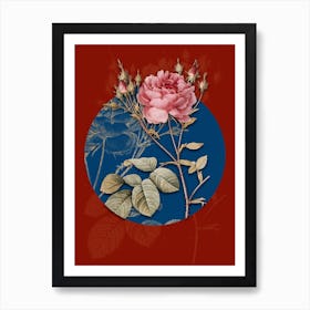 Vintage Botanical Pink Cumberland Rose on Circle Blue on Red n.0138 Art Print
