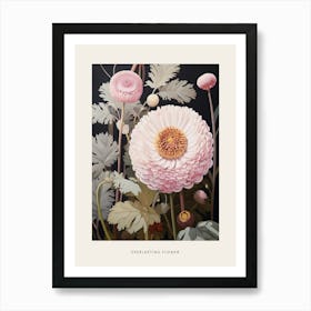 Flower Illustration Everlasting Flower 4 Poster Art Print