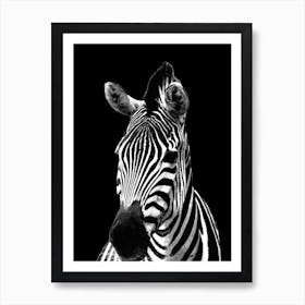 Black and White Zebra Art Print