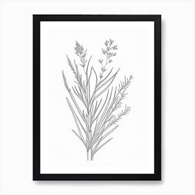 Ephedra Herb William Morris Inspired Line Drawing 1 Art Print