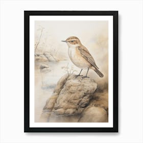 Vintage Bird Drawing Dipper 1 Art Print