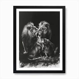 Barbary Lion Charcoal Drawing Interaction 4 Art Print