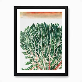 Acropora Muricata Vintage Graphic Watercolour Affiche