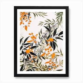 Loquat Fruit Drawing 2 Art Print