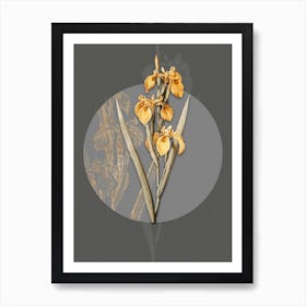 Vintage Botanical Irises on Circle Gray on Gray n.0211 Art Print