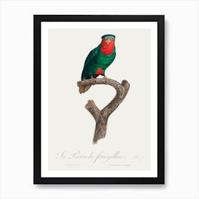 The Blue Crowned Lorikeet From Natural History Of Parrots, Francois Levaillant Art Print