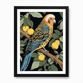Vintage Bird Linocut Budgerigar 4 Art Print