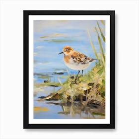 Bird Painting Dunlin 3 Art Print