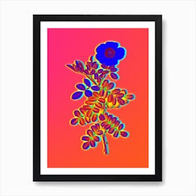 Neon Macartney Rose Botanical in Hot Pink and Electric Blue n.0544 Art Print