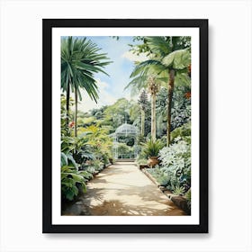 Royal Botanic Garden Sydney Australia Watercolour 3   Art Print