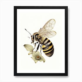 Stinger Bee 5 Vintage Art Print