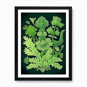 Club Moss Wildflower Vintage Botanical 2 Art Print